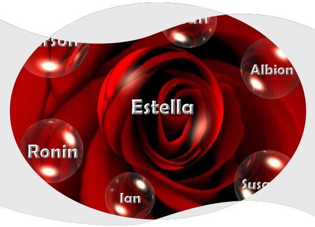 Estella - Rose
